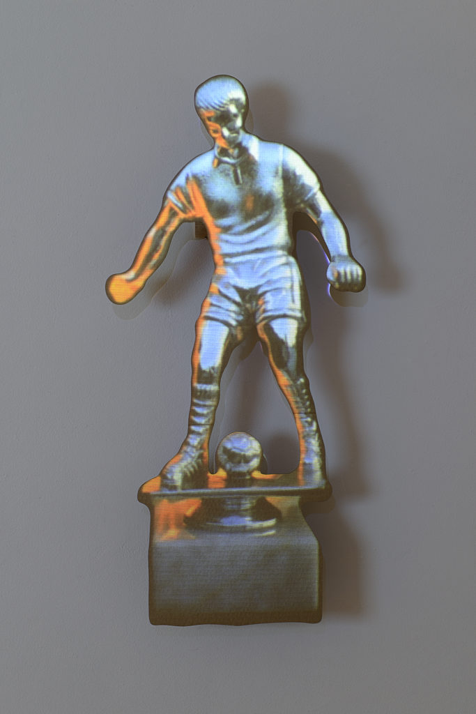 trophy at stake, installation view